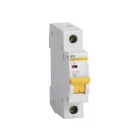 Intrerupator automat IEC BA47-29M 1P C10