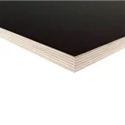 Placaj laminat, F/F, 24x1250x2500mm